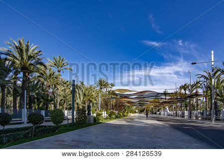 Elche, Alicante, Spain; February 2017: The Palmeral Of Elche, Spain, One Of The Largest In The World