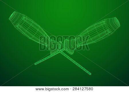 Crosshead Screwdriver. Handyman Tool For Home Repair. Maintenance Themed Abstract Model Wireframe Lo