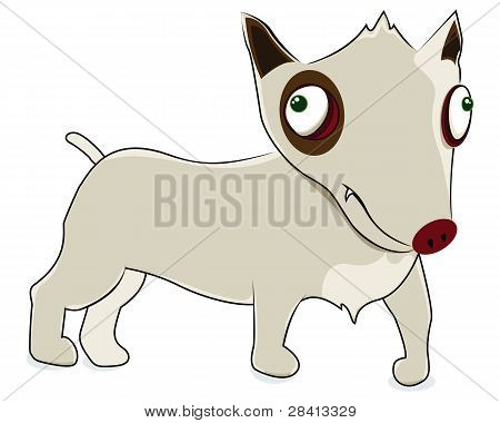 Bull Terrier