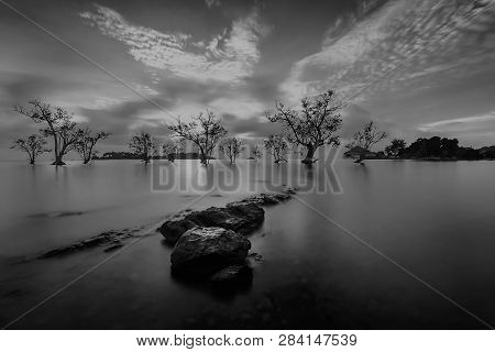 Blackwhite Landscape Photo Of  Batam Bintan Wonderful Indonesia