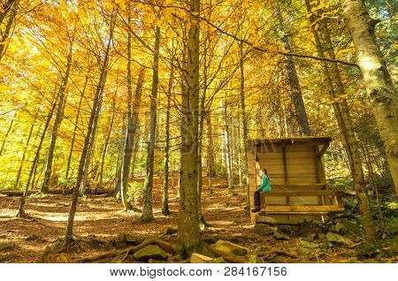 The Girl In The Forest. The Girl Is Resting On The Bench.