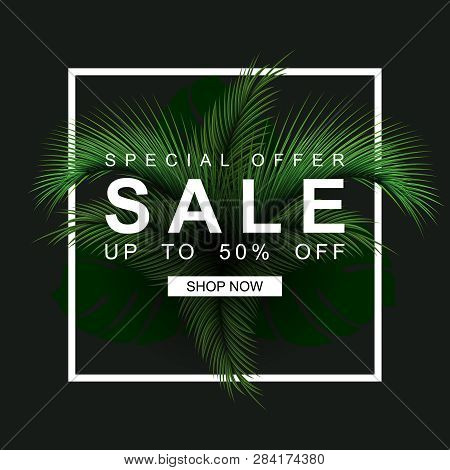 Sale Banner 50 Off Summer Poster With Tropical Palm Leaf.