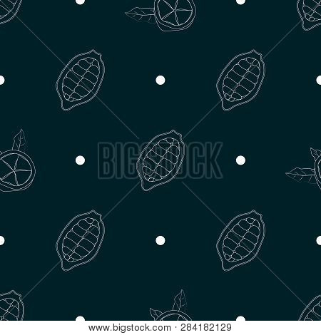 Vector Food Print. Cacao. Seamless Pattern Cupuacu Cupuassu, Cupuazu Or Copoasu