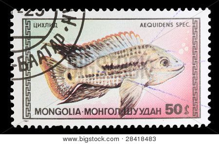 Postage Stamp