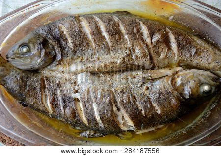 Baked  Trouts