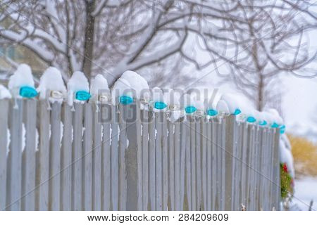 Fence With Light Bulbs Against Trees In Winter