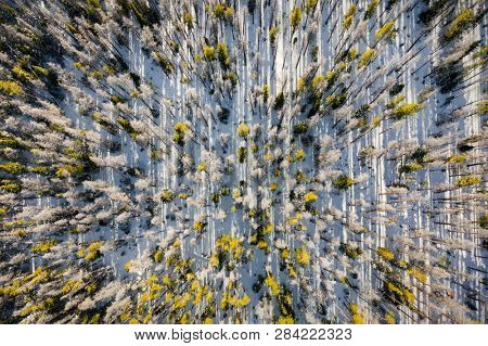 Aerial view from above shooting straight down into trees along a mountainside in the Gore Range area of Summit County near Silverthorne, Colorado.