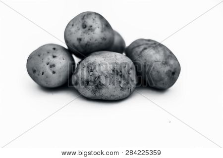 Close Up Of Raw Organic Potato Or Solanum Tuberosumor Aaloo Or Alu Isolated On White.