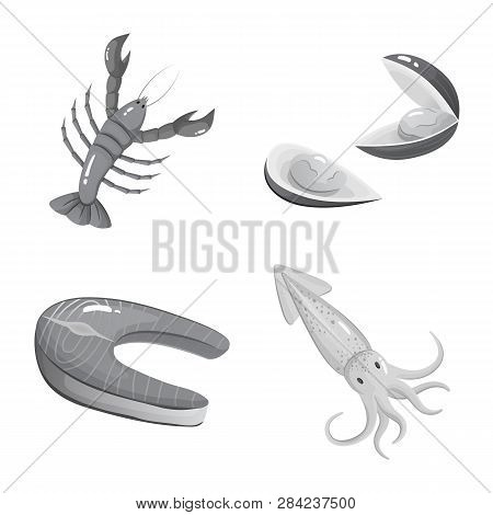 Vector Design Of Seafood And Healthy Icon. Set Of Seafood And Ocean Vector Icon For Stock.
