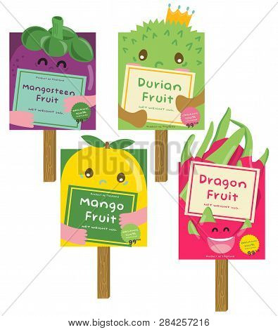 Cute Durian, Mango, Dragon, Mangosteen Fruit Vector Illustration. Mascot Vector Design.