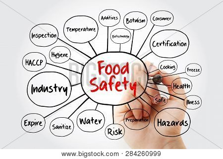 Food Safety Mind Map Flowchart With Marker, Concept For Presentations And Reports