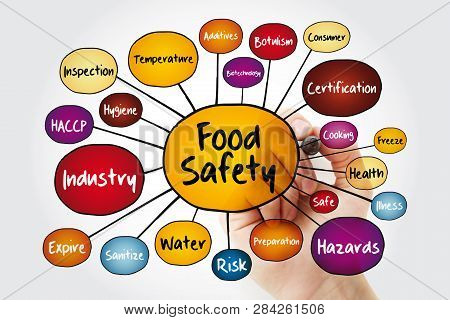 Food Safety Mind Map Flowchart With Marker, Concept For Presentations And Reports