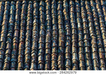 Background Of An Old Roof Tiles (pantile - Coppo) With Moss And Lichens. Tuscany, Italy, Europe