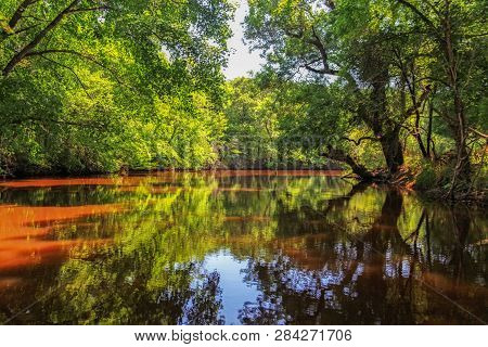River Ropotamo And Green Forest In Bulgaria