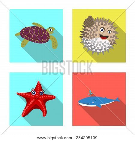 Vector Design Of Sea And Animal Icon. Set Of Sea And Marine Stock Vector Illustration.