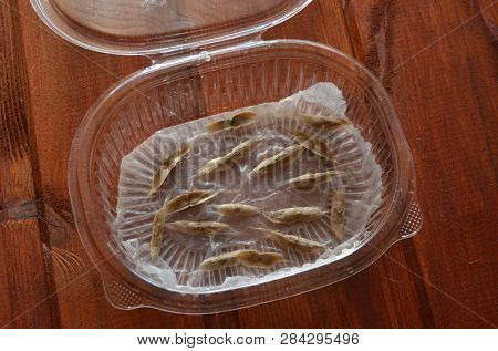 Sprouting seeds of Catalpa Bignonioides on a wet paper napkin in a plastic box