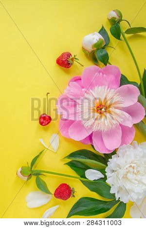 Flowers Of Peony, Branches, Leaves And Petals And Berries Of Cherry, Strawberry With Space For Text