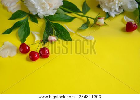 Flowers Of Peony, Branches, Leaves And Petals And Berries Of Cherry, Strawberry With Space For Text