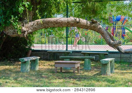 Table With Wooden Seats On The Lawn Near The Tennis Court And Pigeon Sea.