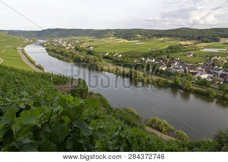 Panoramic View Of Moselle Valley In Germany. Vineyards And River Mosel In Summer - Image