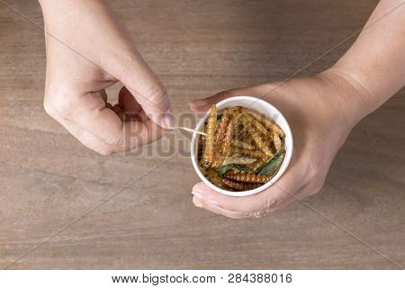 Woman's Hand Holding Disposable Cup Which Containing Bamboo Caterpillar, Worm Fried Crispy For Take-