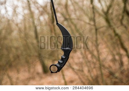 Karambit Knife Hanging On The Branch In The Autumn Forest