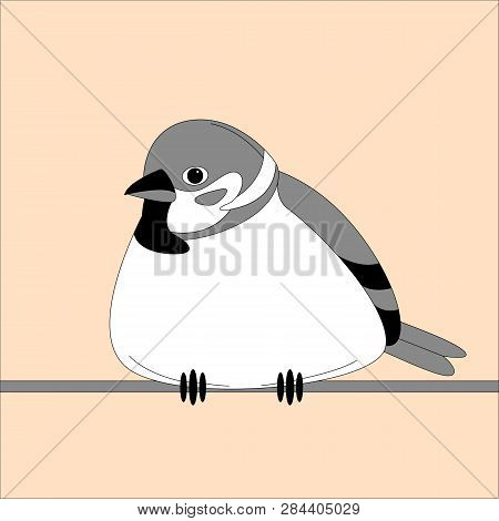 Bird Sparrow, Vector Illustration, Flat Style, Front View