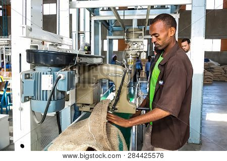 Raw Coffee Bean Sorting And Processing In A Factory