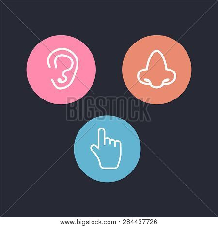 Five Senses Icon. Sets Of Icons Representing The Five Senses