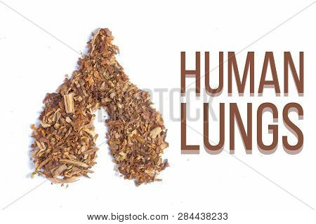 Tobacco In The Form Of Human Lungs On A White Background With The Inscription.