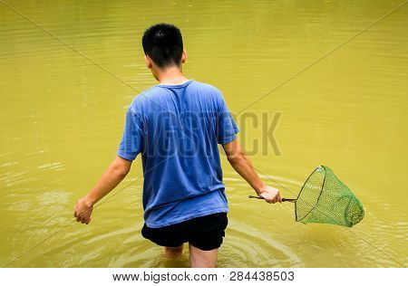 Man Collecting Farmed Snails In The Pond