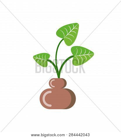 Leaves Of Plant In Pot Vector, Isolated Icon Of Houseplant With Foliage. Growing Botanical Frondage 