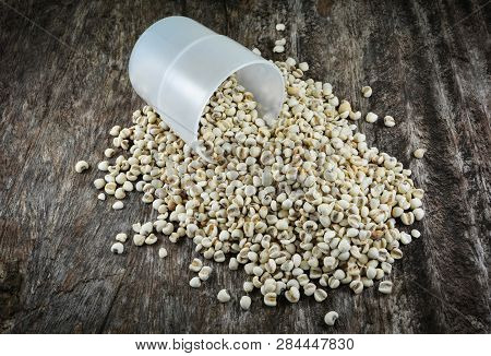 Job's Tears Coix Lachryma Jobi Grain Seeds With Cup On Rustic Wood Background