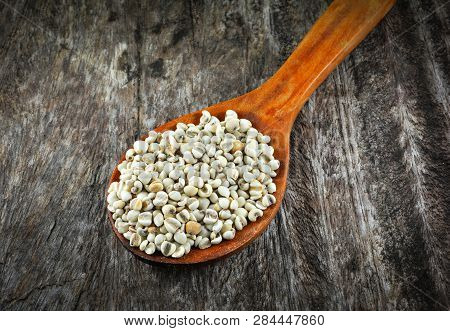 Job's Tears Coix Lachryma Jobi Grain Seeds On Wooden Spoon On Rustic Wood Background