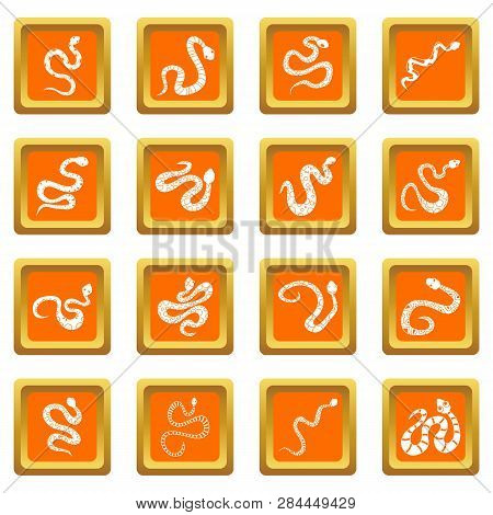 Snake Icons Set In Orange Color Isolated Illustration For Web And Any Design
