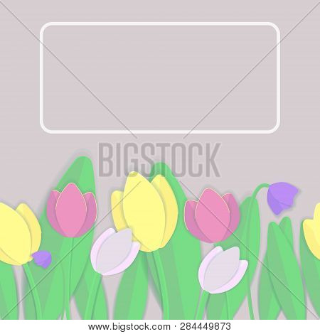 Cheerful And Spring Illustration With Colorful Tulips. For Banner, Postcard Or Poster With Congratul
