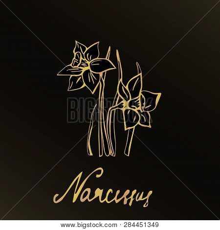 Hand Drawn Spring Flower. It Is Executed By A Gold Gradient On A Black Background. There Is A Flower