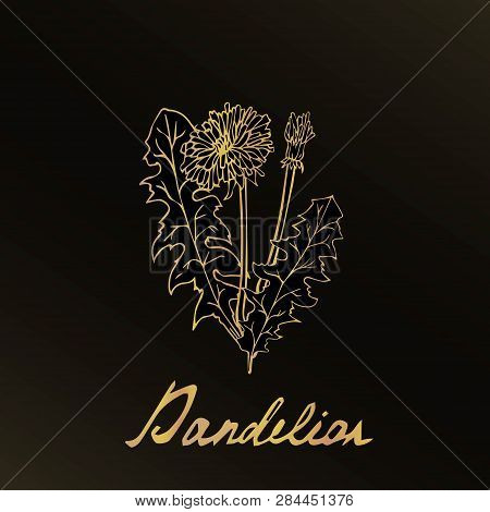 Hand Drawn Spring Flower. It Is Executed By A Gold Gradient On A Black Background. There Is A Flower