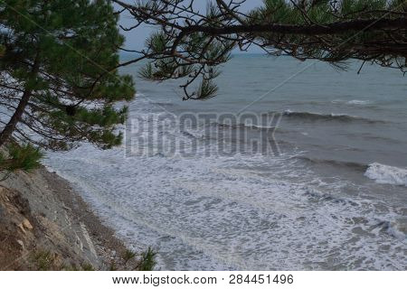 View Of The Stormy Sea From The Mountain Through The Pine Branches