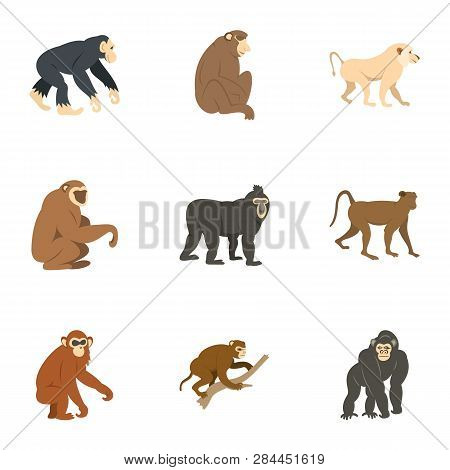 Species Of Monkey Icon Set. Flat Set Of 9 Species Of Monkey Icons For Web Isolated On White Backgrou