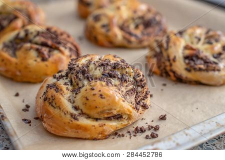 Home Made Traditional Sweet Chocolate Babka On Plate On A Table