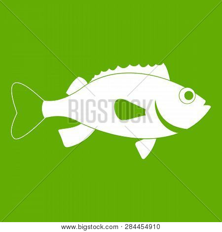 Sea Bass Fish Icon White Isolated On Green Background. Illustration