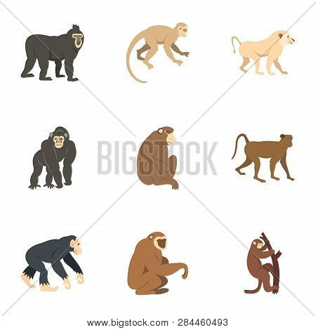 Different Monkey Icon Set. Flat Set Of 9 Different Monkey Icons For Web Isolated On White Background
