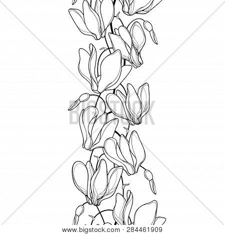 Vector Vertical Seamless Pattern With Outline Cyclamen Or Alpine Violet Bunch In Black On The White 