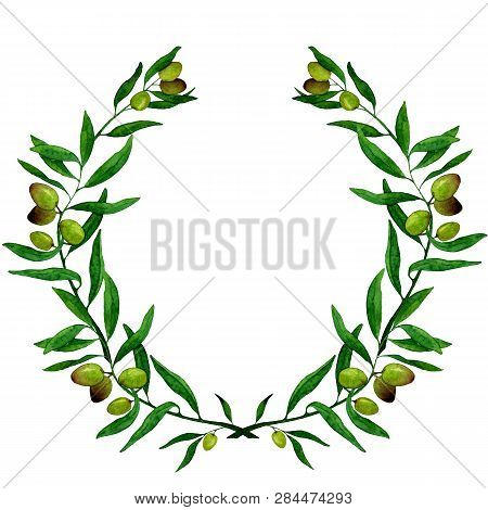 A Wreath Of Olive Branches. Isolated Illustration.