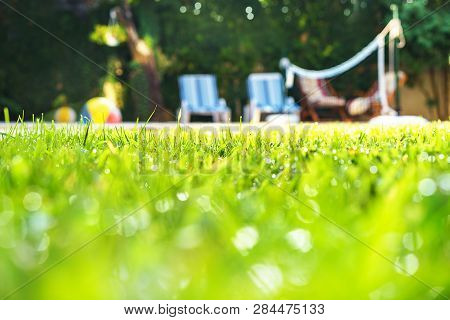 Selective Focus On Green Grass With Water Drops As Dew And Bokeh Background On The House Yard With S