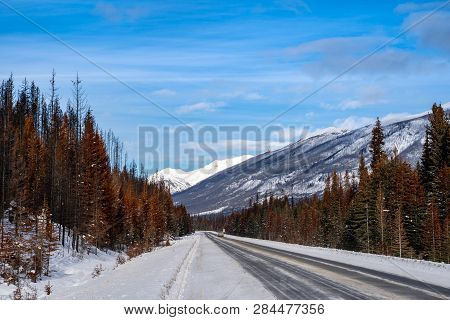 Highway 93 Through Kootenay National Park During A Sunny Winter Day