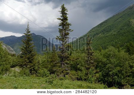 Mountain Landscape By The River Chuya, Altai Republic, Siberia, Russia