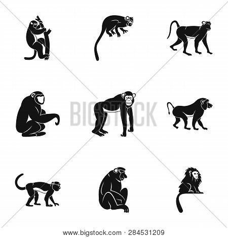 Jungle Monkey Icon Set. Simple Set Of 9 Jungle Monkey Icons For Web Isolated On White Background