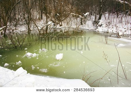 A Small Forest Lake In The Ice From Which The Bushes Stick Out